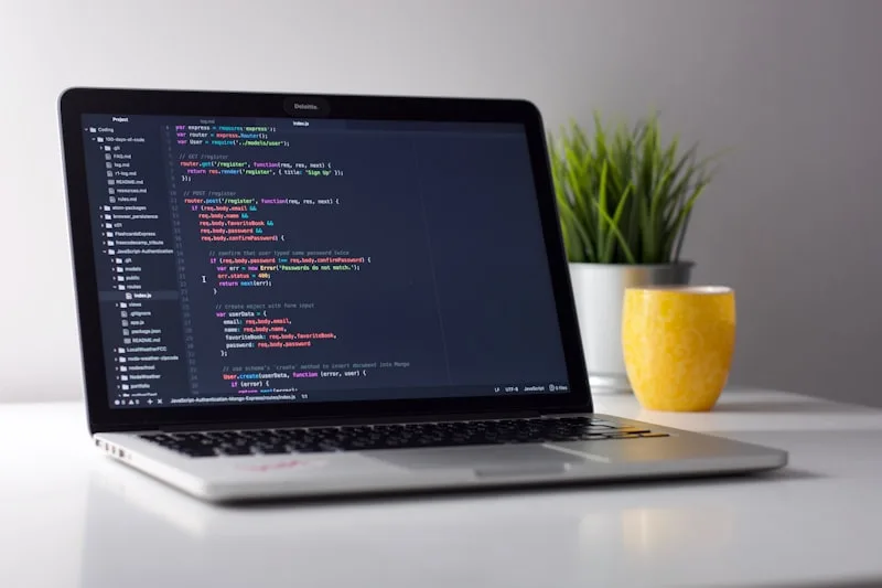 Developer working on server configuration